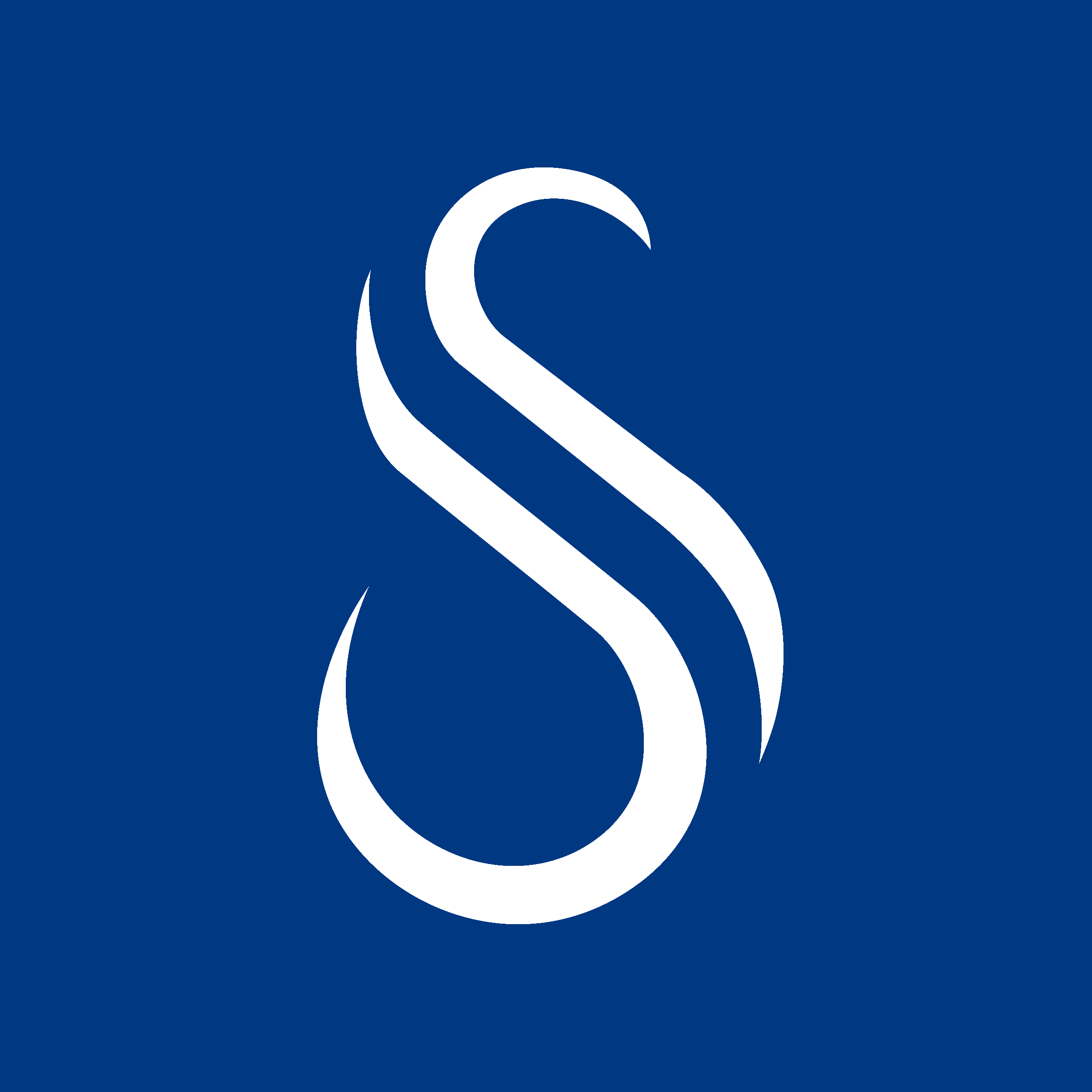 Santé Consulting logo
